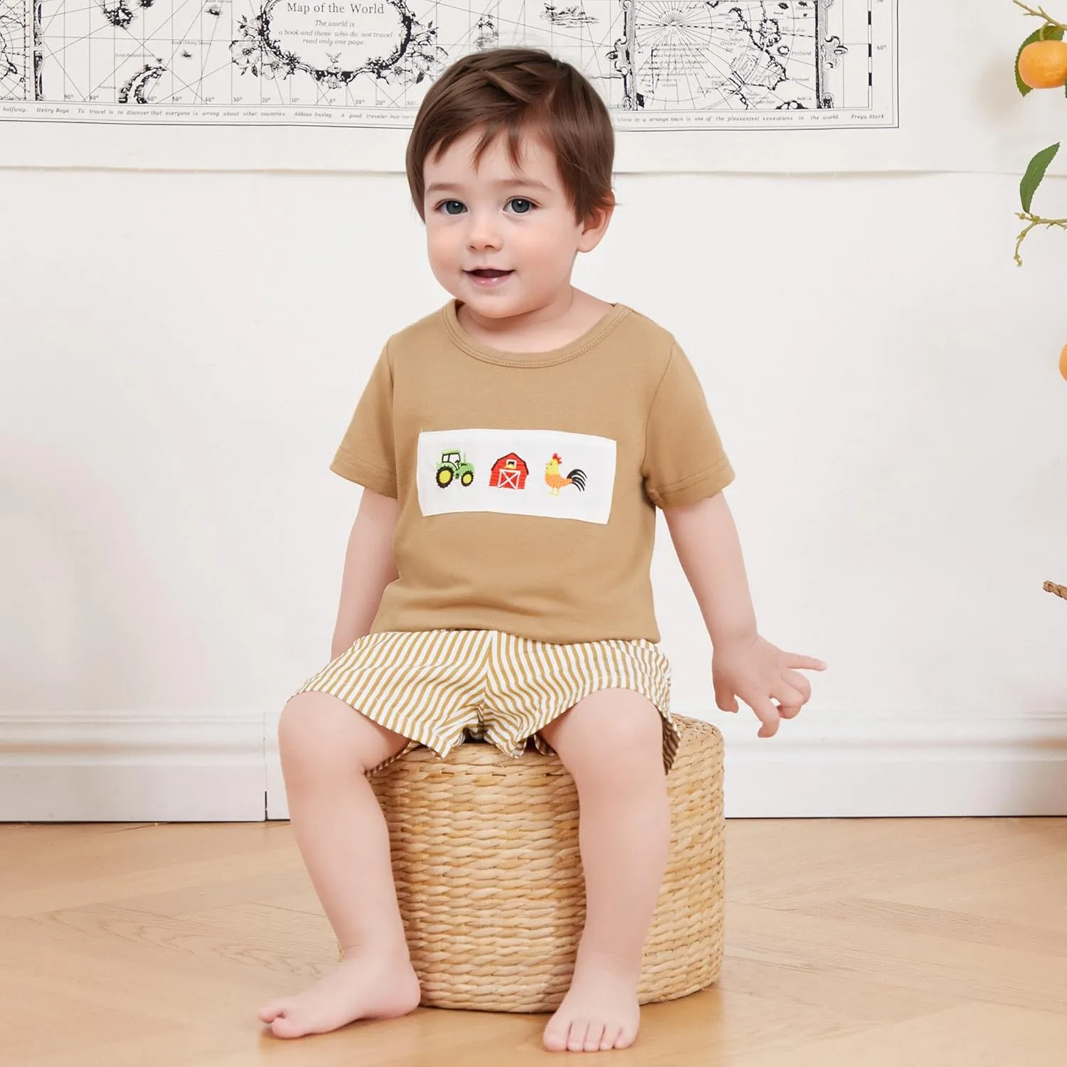 Toddler Boy Summer Clothes Animal Embroidery Smocked Short Sleeve T-Shirt   Casual Shorts