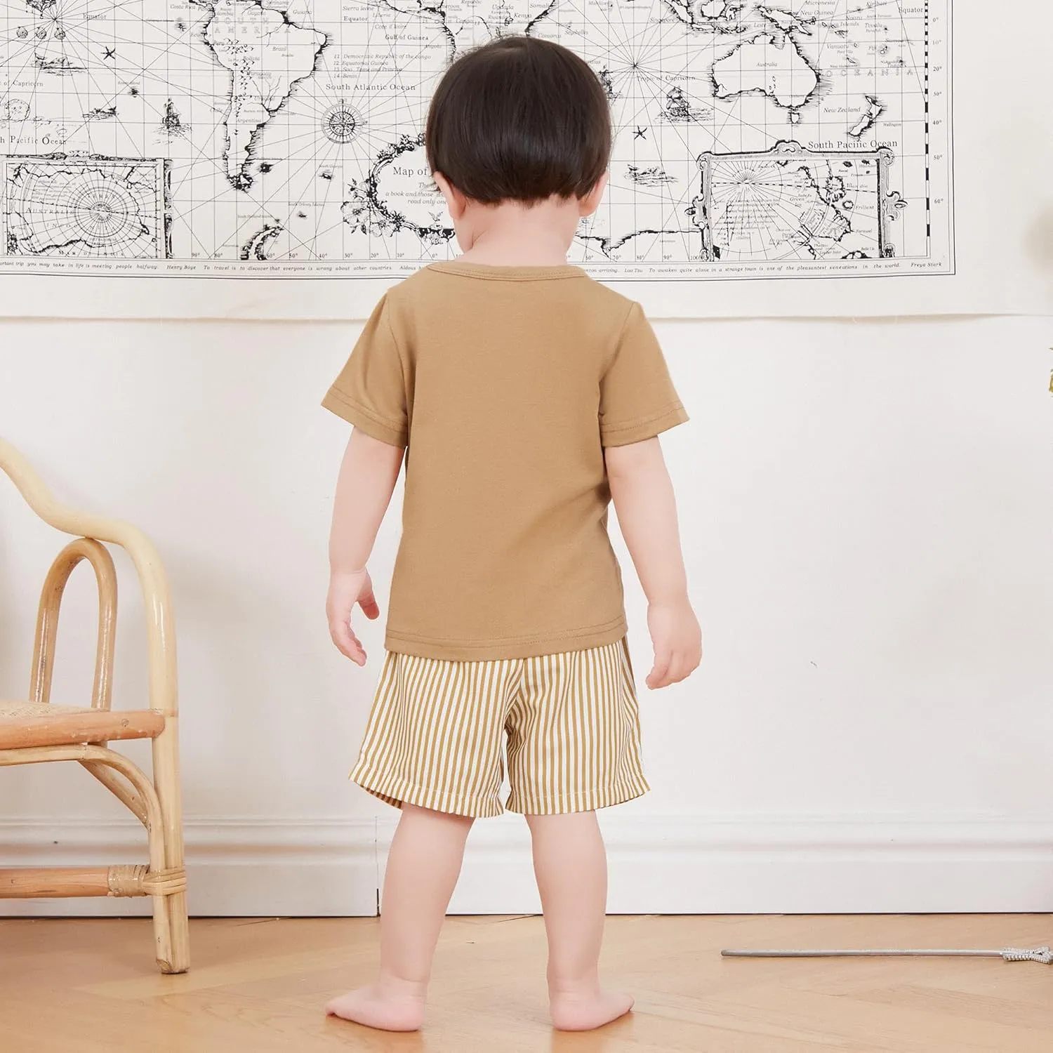 Toddler Boy Summer Clothes Animal Embroidery Smocked Short Sleeve T-Shirt   Casual Shorts