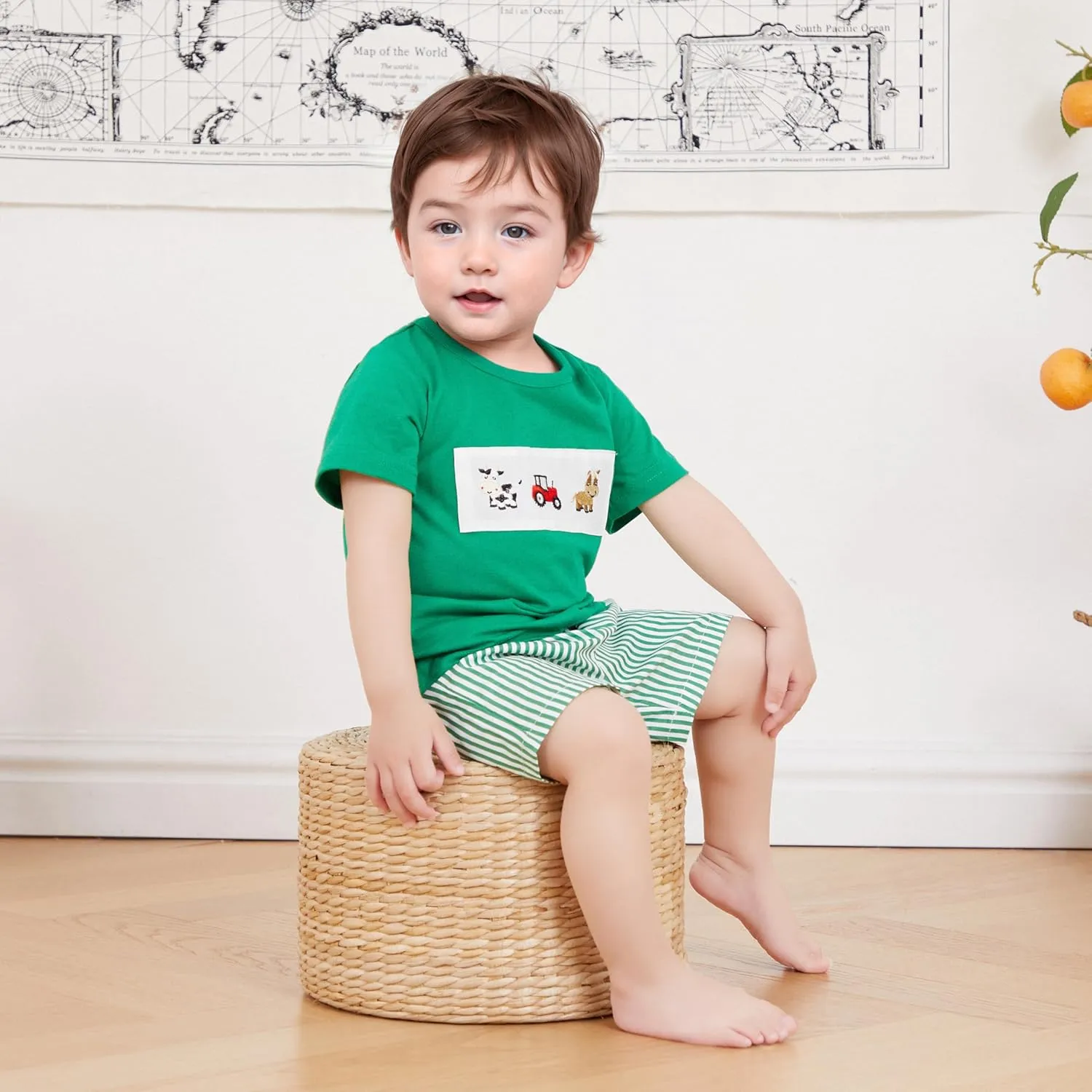 Toddler Boy Summer Clothes Animal Embroidery Smocked Short Sleeve T-Shirt   Casual Shorts